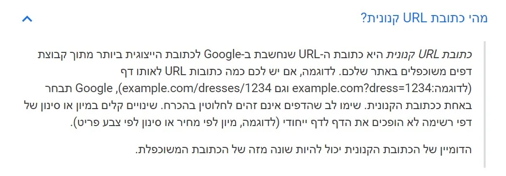 On-Page SEO קנוניקל - סייטלינקס